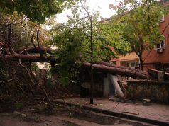 (Foto) Shmanget tragjedia. Pema thyhet në ish-bllok. Vetëm dëme materiale