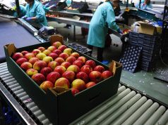 Denaj: produktet bujqësore “Made in Albania” në tregjet e BE u rritën 22%