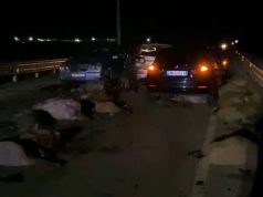 Shoferi i dehur i mori para tufën e deleve në Fier. Fermeri i dëshpëruar me sytë nga shteti për ndihmë