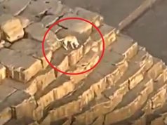 Si u ngjit qeni majë piramidës? (video)