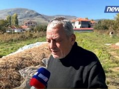 Pse nuk shiten qepët e Maliqit?! Fermeri: I kemi hedhur prodhimet kanaleve