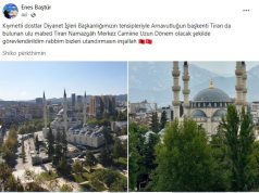 Basturi në krye të Xhamisë së Namazgjasë. E emëroi Turqia