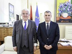 Më pak euro, më shumë lekë në tregun shqiptar