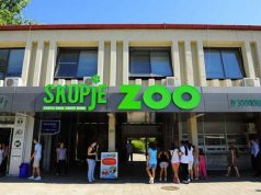 AUV: Konfirmohet virusi H5N1 – Kopshti Zoologjik mbyllet për tri javë!