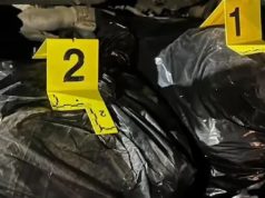 Kapshticë, prangosen babë e bir për trafik droge.