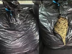 Policia u zë pritë trafikantëve të drogës në rrugën “Bënçë-Tepelenë”(video)