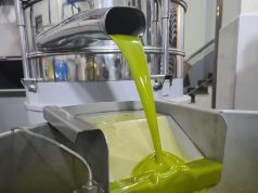 Vaji i ullirit nxjerr “të palarat”. U tha se ka më shumë prodhim por rendimenti del i ulët