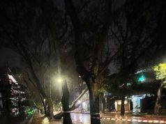 Moti I keq bllokon rrugën në qendër të Tiranës. Era e fortë shkul pemën.