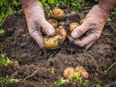 Berisha prezanton programin për bujqësinë: Fermerët do kenë financim prej 150-200 milionë eurosh në vit! Kreditë e tyre do financohen në masën 80 për qind