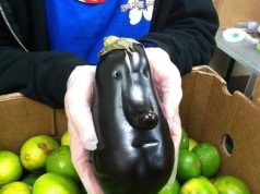 Kur natyra është artiste. Frutat dhe perimet me forma të pabesueshme, sikur janë gdhendur me dorë (FOTOT)