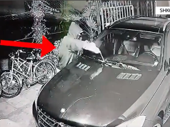 (Video) Shkodër, kapen autorët e djegies së makinave në operacionin “porositësit”