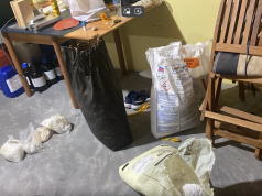 Të gjitha detajet nga operacioni anti-drogë: si u zbuluan laboratorët e kokainës që vinte me lëkurë bagëtish nga Amerika Latine (video)