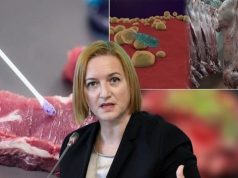 SKANDAL/ Mishi me brucelozë “pushton” tregun. Bllokohet thertorja në Berat. Anila Denaj vazhdon të kërcënojë gazetarët!