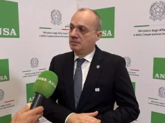 Hasani për ANSA-n: Të përkushtuar ndaj Italisë