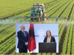 Prokuroria dërgon në gjyq 20 zyrtarë të Ministrisë së Bujqësisë për 7 tendera të dyshimtë gjatë kohës që ministre ishte Anila Denaj — akuzohen për shpërdorim detyre