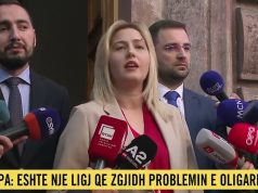 Ina Zhupa padit në Kushtetuese: Sot në Shqipëri nuk ka më zona të mbrojtura.