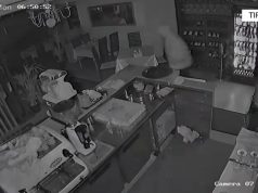 Zbardhen dhe dokumentohen 16 raste vjedhjesh, në disa biznese të ndryshme