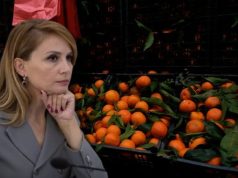 Bllokimi i mandarinave, Tabaku: Njollë e keqe për eksportet dhe sigurinë ushqimore në vend! Korrupsioni, pesticidi më i rrezikshëm