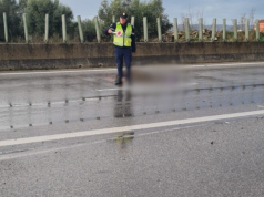 Makina përplas të moshuarin në Lushnjë-Rrogozhinë