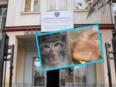 MPOX (Lija e Majmunit) në Kosovë. Mjeku infeksionist shpjegon simptomat