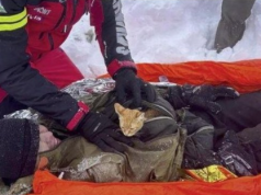 Macja i shpëton jetën gazetarit. Ra në humnerë mes akullit ndërsa arratisej nga Ukraina bashkë me kotelen e tij (video)