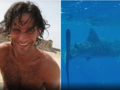 Vdes turisti italian. E sulmoi peshkaqeni në Detin e Kuq, Egjipt