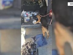 Kapet 3.430 kg kokainë në Muriqan