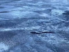 Akulli në bypassin e Murrizit. Vështirësi në qarkullim.