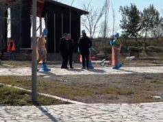 Murtaja afrikane e derrave/ Karantinohet zona e Ishull Lezhës