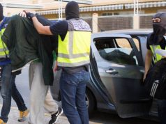 Zbulohen 6 plantacione kanabisi. Arrestohet shqiptari në Spanjë.