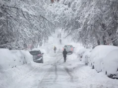 Pesë të vdekur pasi stuhia e madhe e dimrit ka përfshirë disa pjesë të SHBA-së