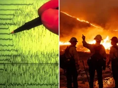 Zjarre, plaçkitje dhe tërmete. Në Los Angeles vendoset shtetrrethimi (video)