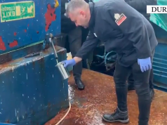 Operacioni policor i koduar “Ari i zi”/ Sekuestrohen 670 000 litra naftë e dyshuar e kontrabanduar nga Tunizia në portin e Durrësit (video)