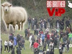 Lajthitje kombëtare/ Protestë kundër Big Brother Vip në stilin “Xhamadani vija-vija”