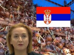 Hamë qepë e patate serbe, prodhimi i Maliqit ‘flaket’ në kanal! Fermerët: Ministrja e Bujqësisë të mos na gënjejë më