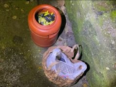 Me doza kokaine gati për shitje. Arrestohet 28-vjeçari në Tiranë