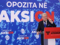 Protesta e 8 shkurtit/ Berisha: Të shtunën shqiptarët zbresin në Tiranë dhe Tirana zbret në sheshe dhe rrugë