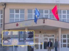 Suharekë, sulmoi nxënëset dhe policët në shkollë, një prej tyre në gjendje të rëndë, vritet qeni arrestohet i zoti