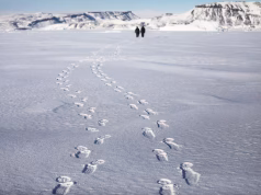 Danimarka do të mbrojë Groenlandën … me 750,000 palë çorape leshi