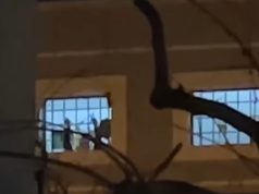 “Hajde te ne , o Erion!”