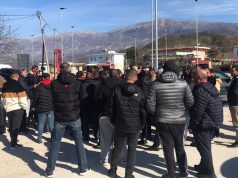 Blegtorët e jugut në protestë: Shteti të rrisë subvencionet për qumështin