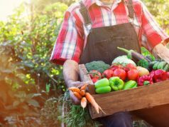 Fondi për bujqësinë nga Banka e Shqipërisë, Zusi: Do të jetë e vështirë të arrijë te fermeri