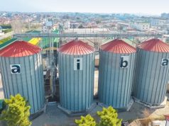 Tjetër vatër gripi shpendësh te AIBA në Rrrashbull të Durrësit, 1848 pula të ngordhura