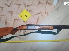 68-vjeçari xheloz qëllon drejt gruas për ta vrarë, arrestohet në Vaun e Dejës