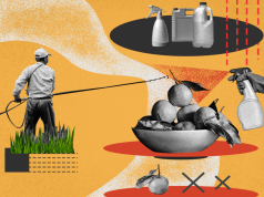 Minstrja e Bujqësisë Anila Denaj punëson njerëz për fushatë, ndërkohë që pesticidet bëjnë namin