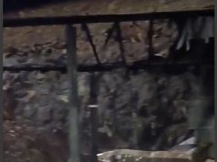 (Video) Digjet një trajler që transportonte kartona picash në “Rrugën e Kombit”