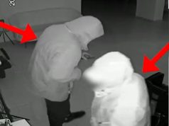 (Video) Motër e vëlla hynë në parukeri dhe vodhën, kapen bashkë me sendet e vjedhura