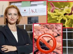 “Ministrja Denaj të japë përgjigje dhe të mbajë përgjegjësi për këtë krim kundër shëndetit!” Reagon opozita për skandalin i mishit të pulës me salmonelë
