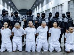 (Video) Pamje si nga “Prison Break”/ Avioni amerikan deporton të burgosurit në El Salvador. Qethen si dele përpara se të dërgohen në burgun e sigurisë më të lartë