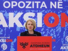 PD zotohet të dyfishojë buxhetin: Paga mesatare për mësuesit do të shkojë rreth 1300 euro